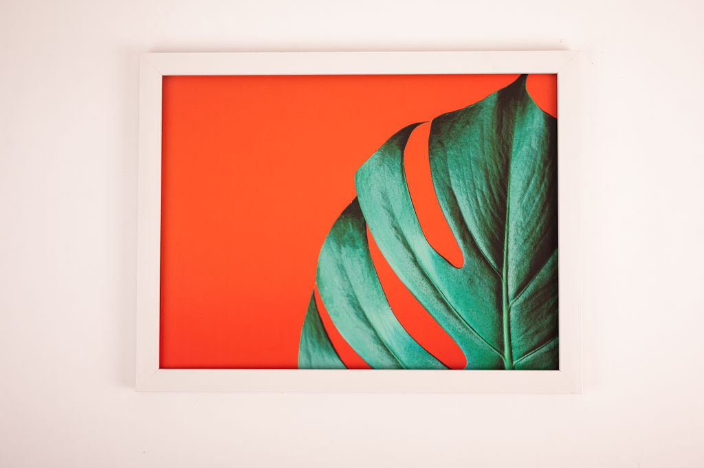 Monstera Framed Tableau