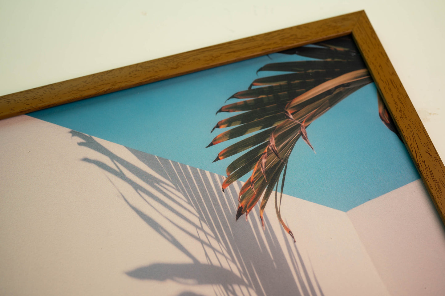 Palm Tree Leaves Framed Tableau