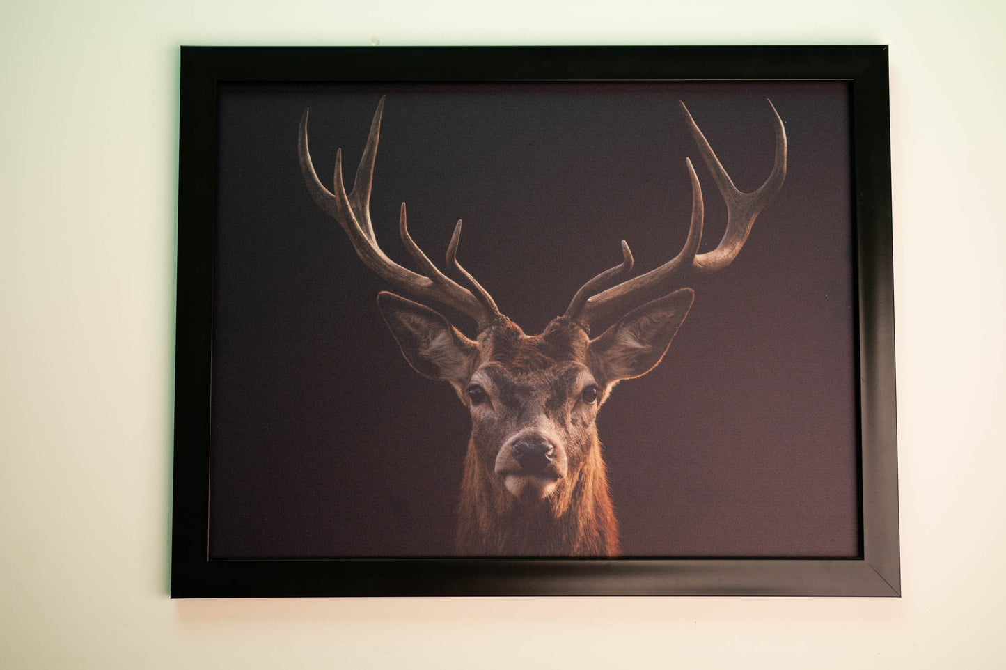 Red Deer Framed Tableau