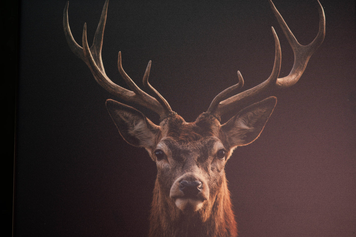 Red Deer Framed Tableau