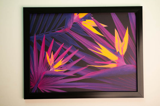 Tropical leaves Framed Tableau